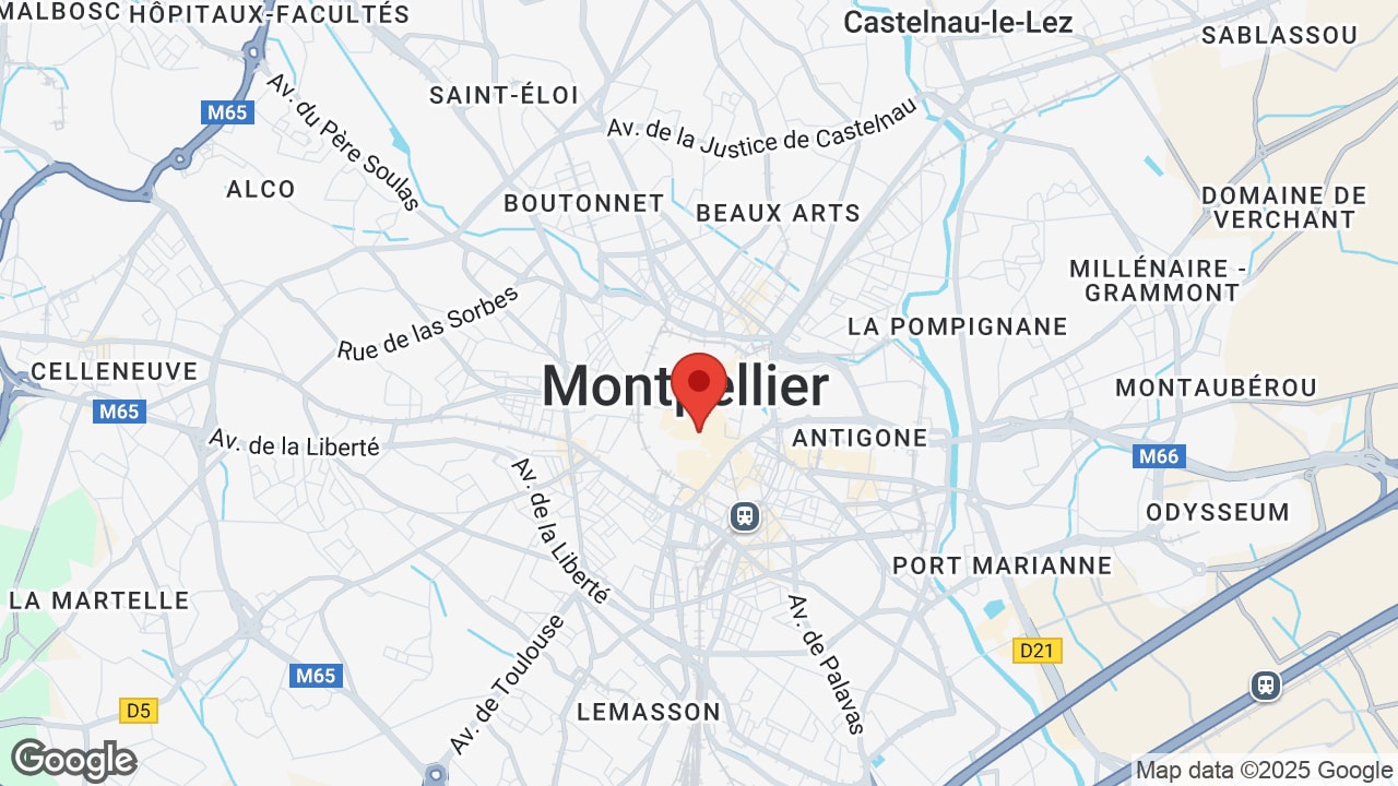 Google map