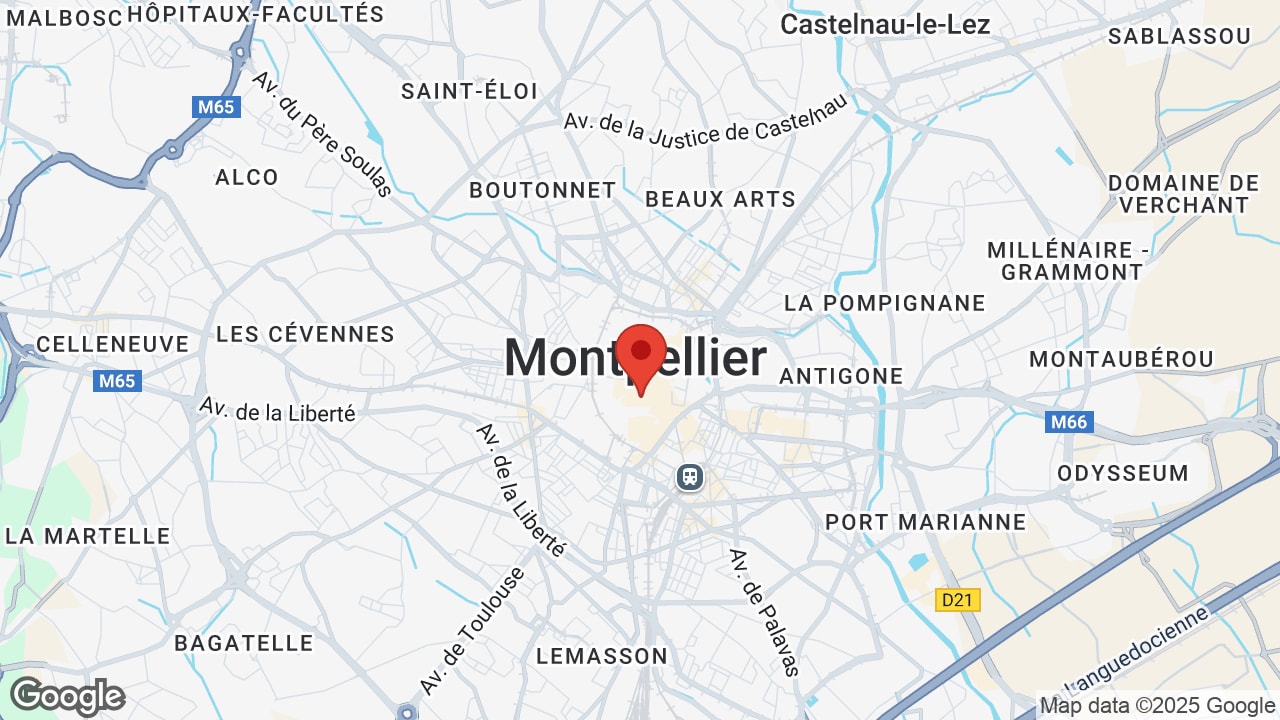 Google map
