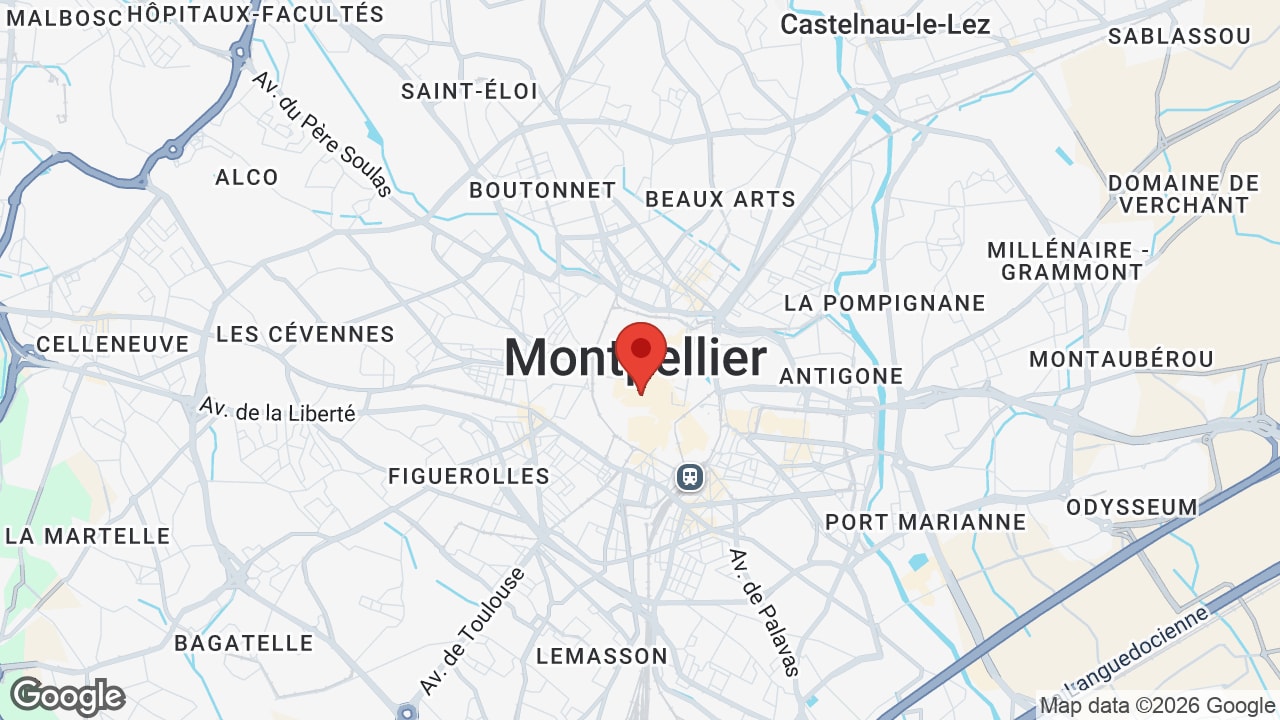 Google map