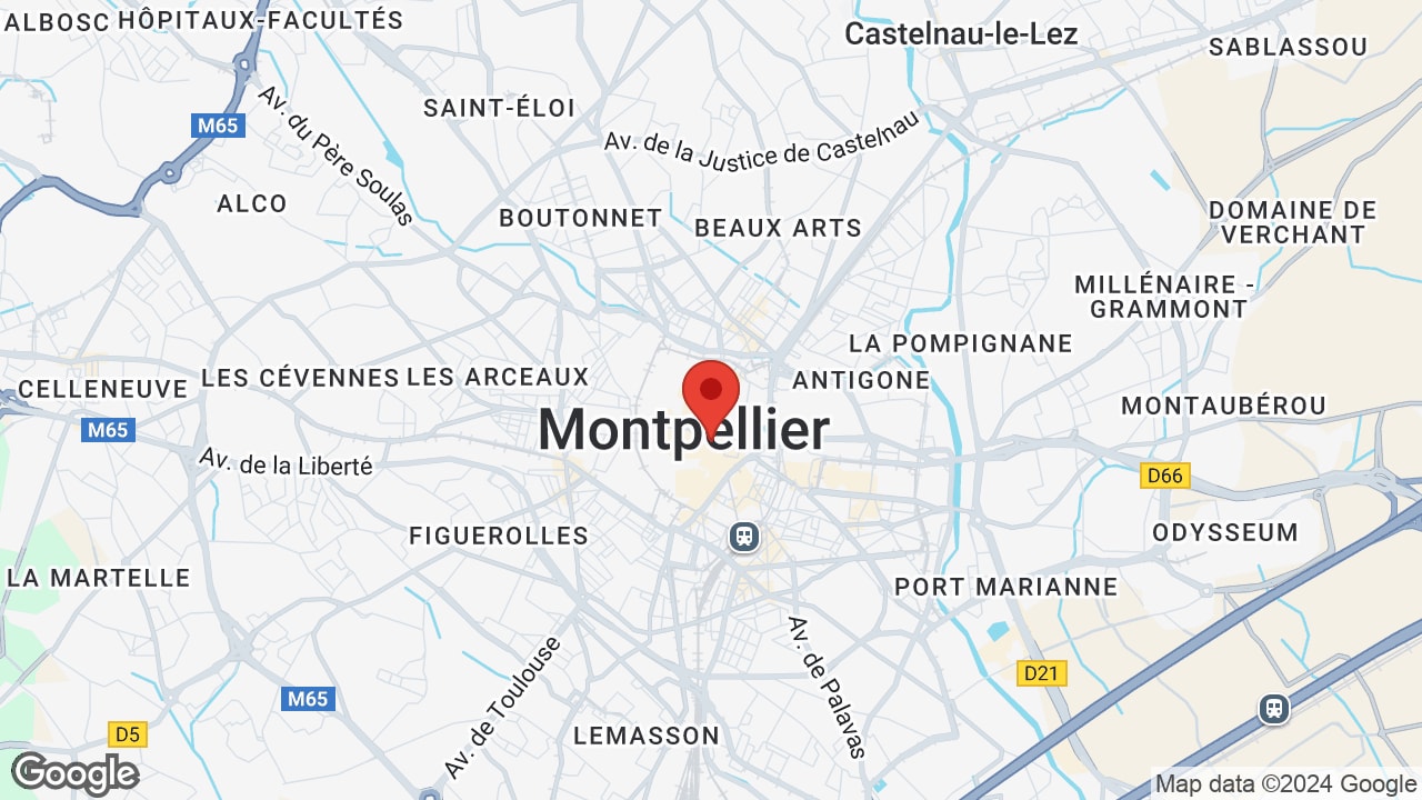 Google map