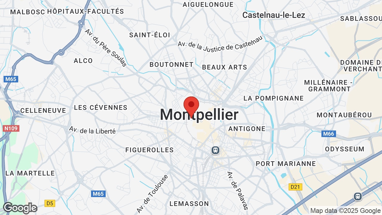 Google map