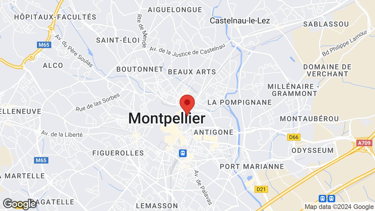 Google map