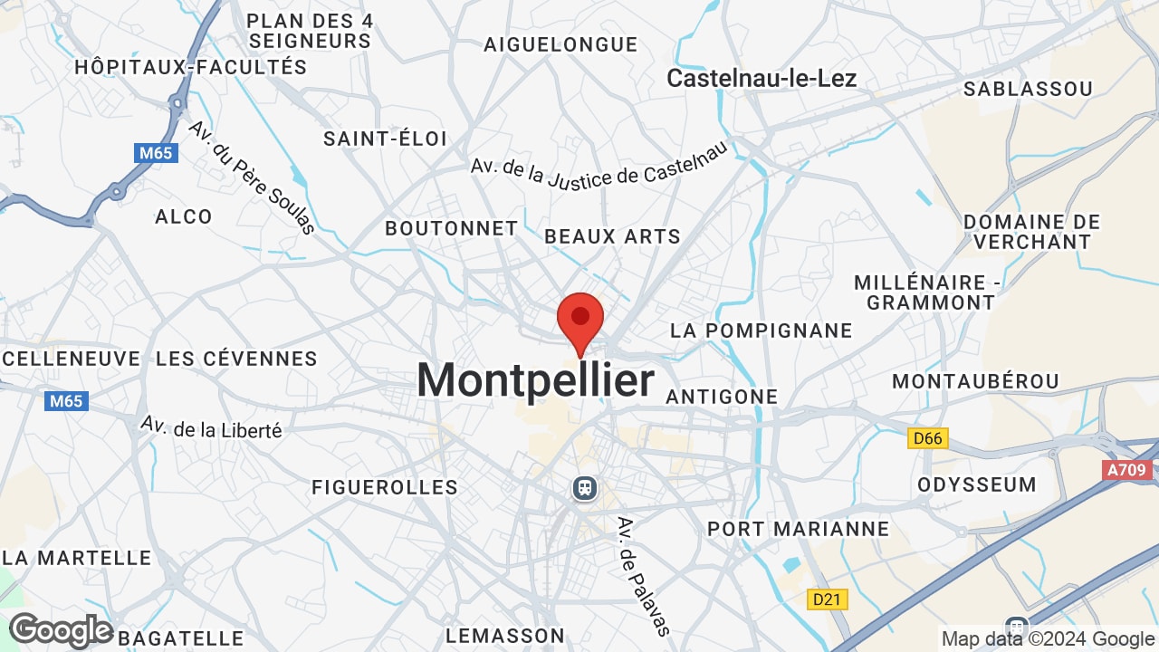 Google map