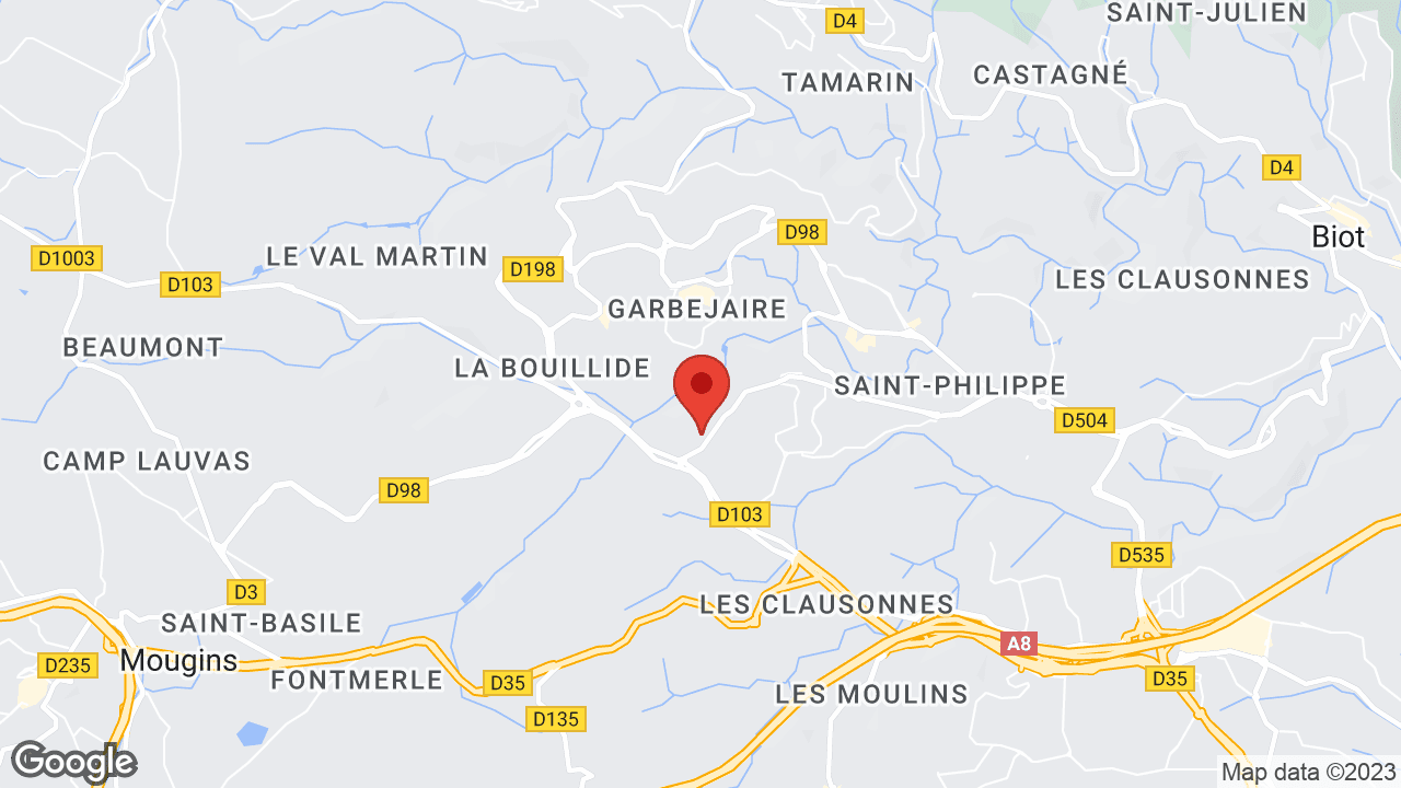 Google map