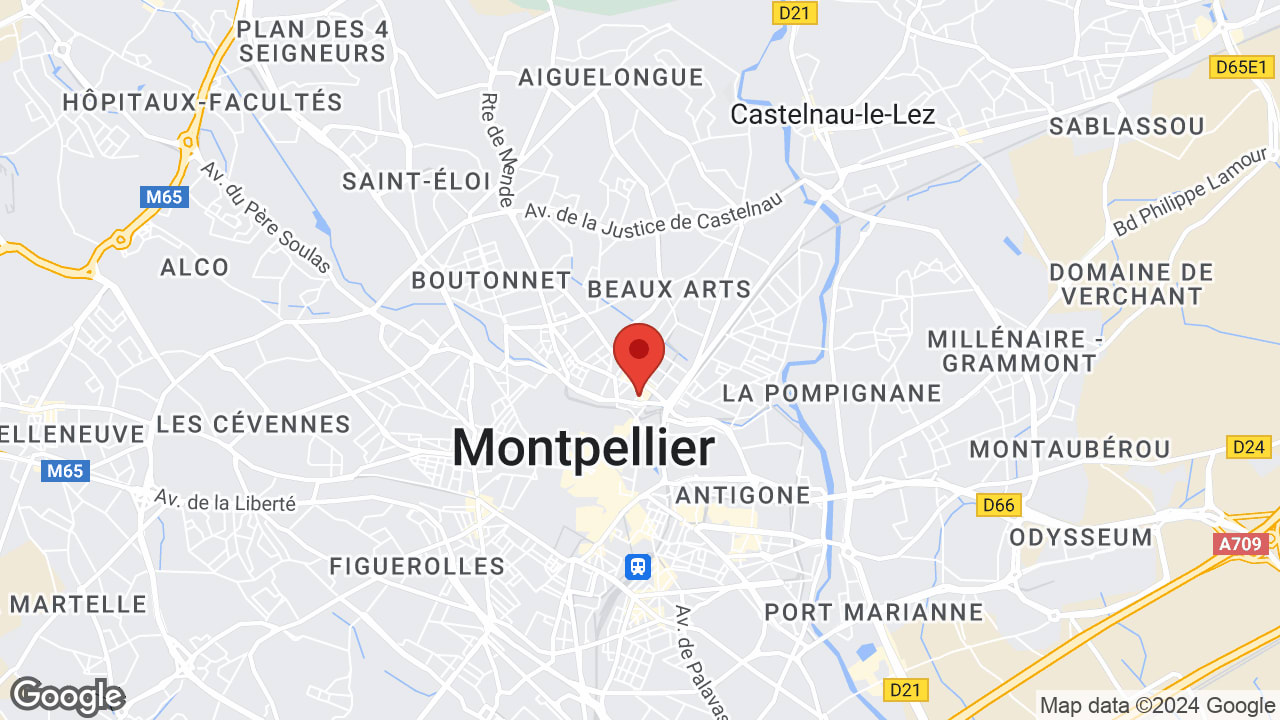Google map