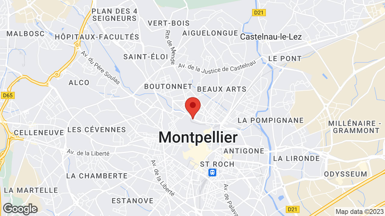 Google map