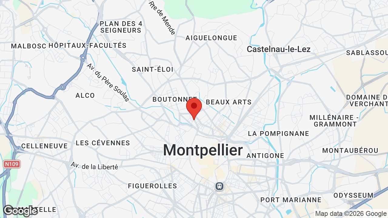 Google map
