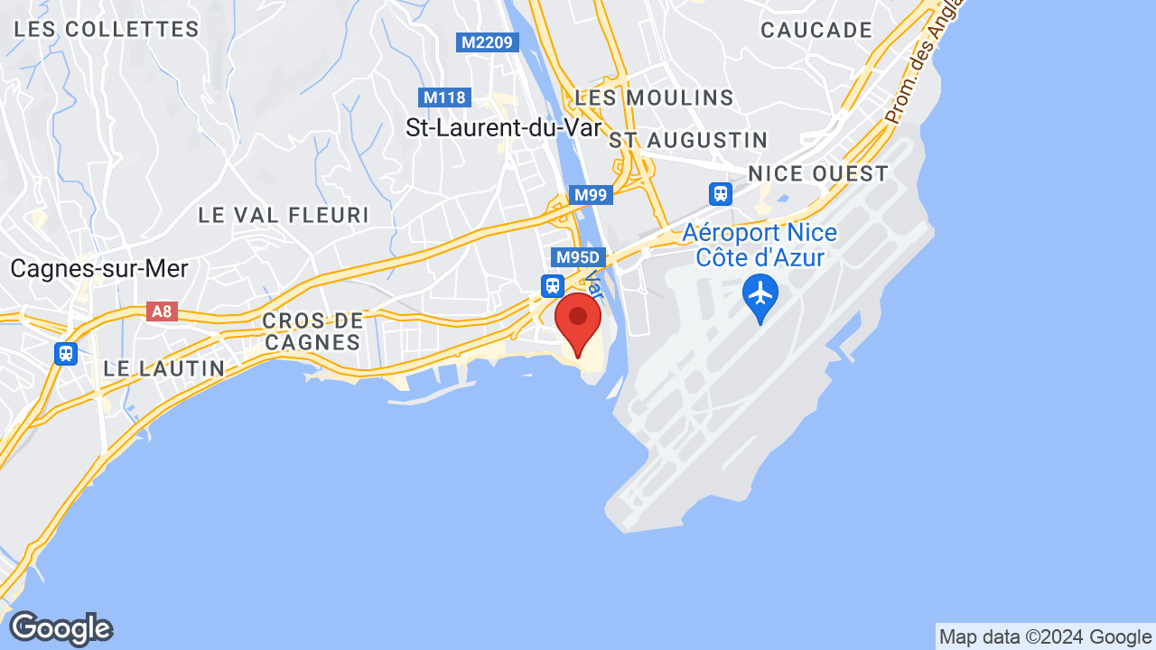 Google map
