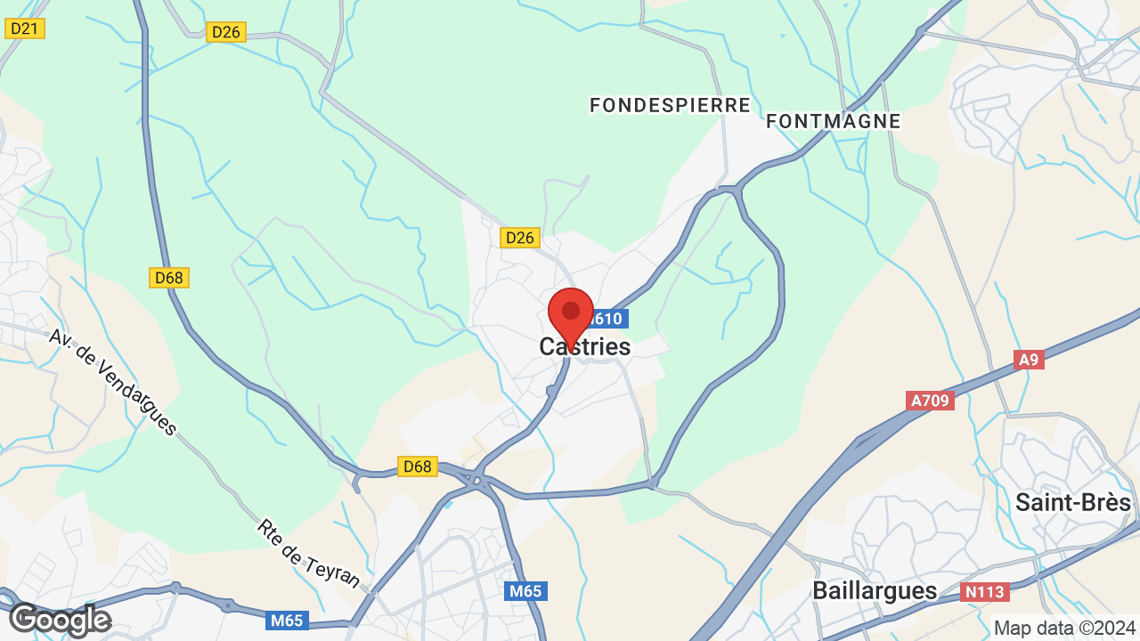 Google map