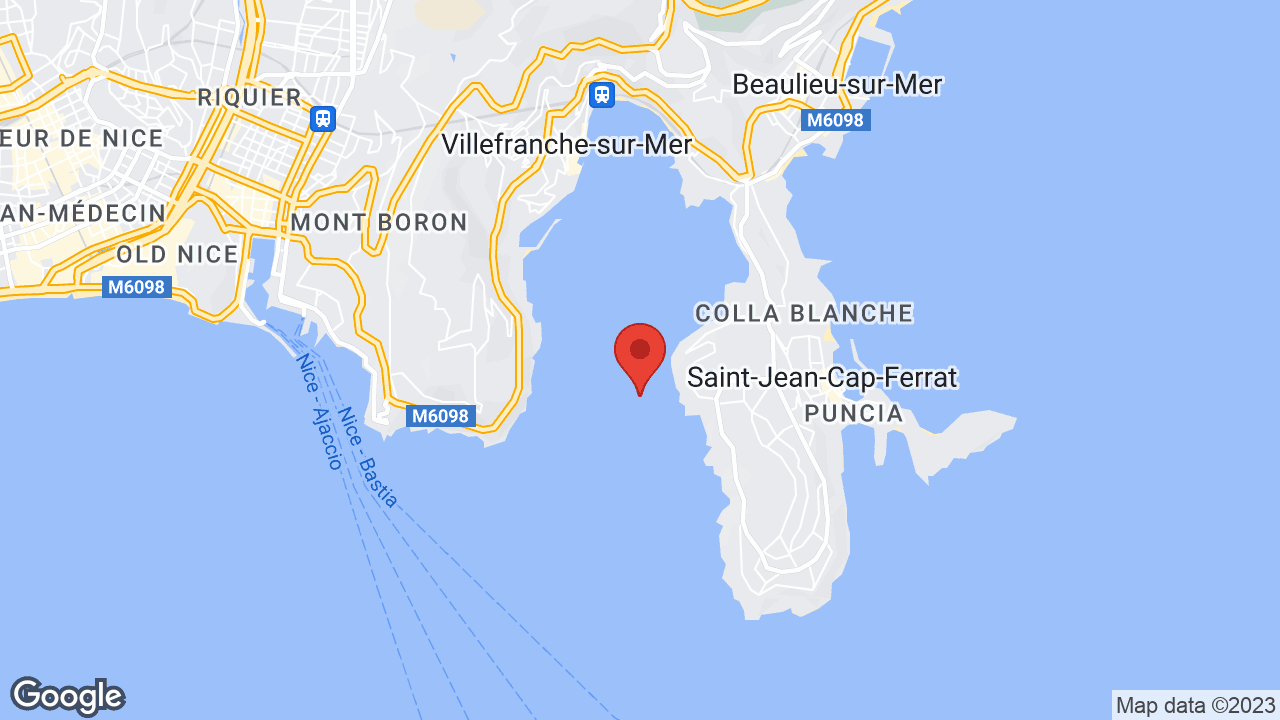 Google map
