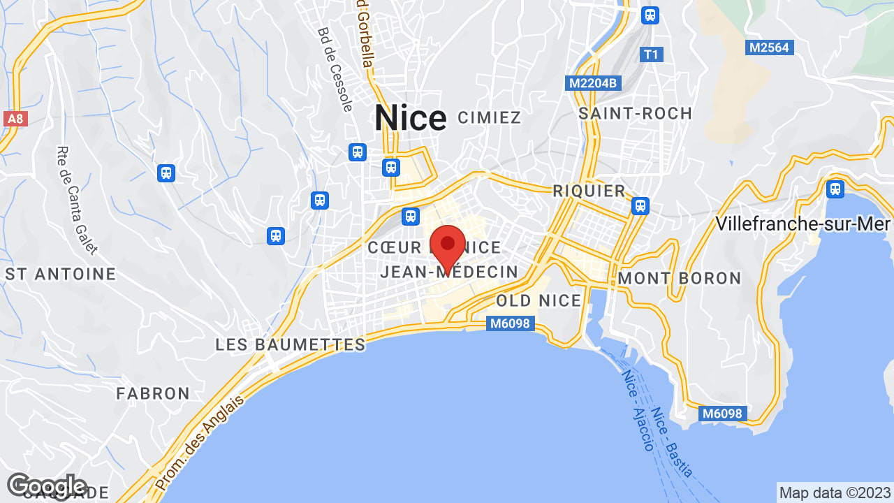 Google map