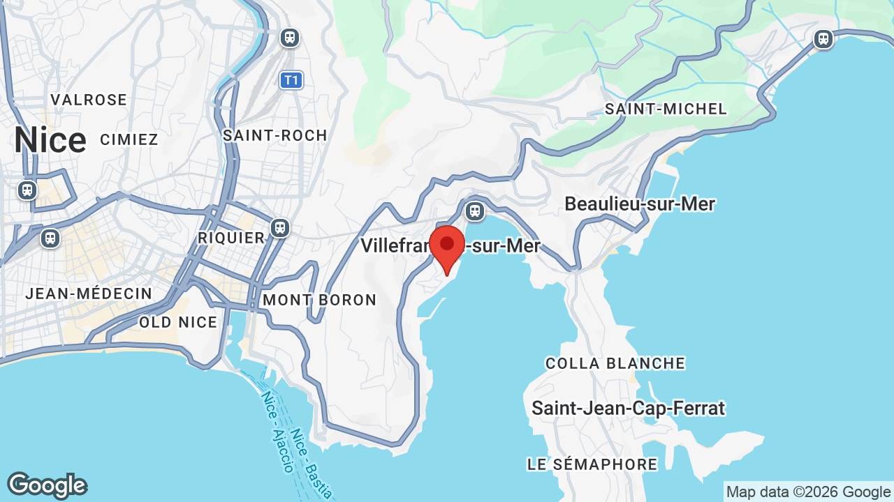 Google map