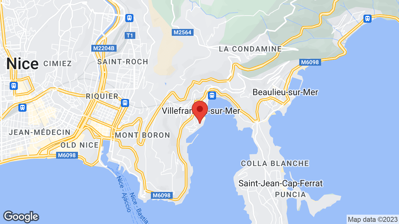 Google map