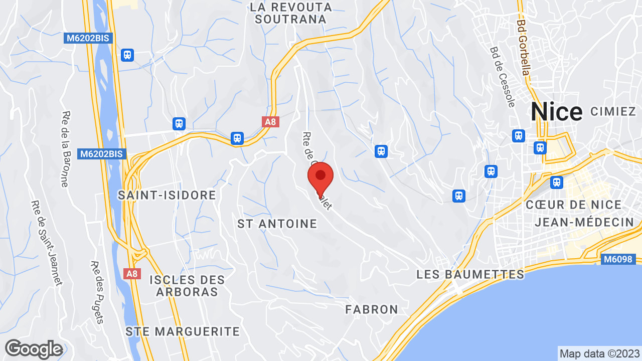 Google map