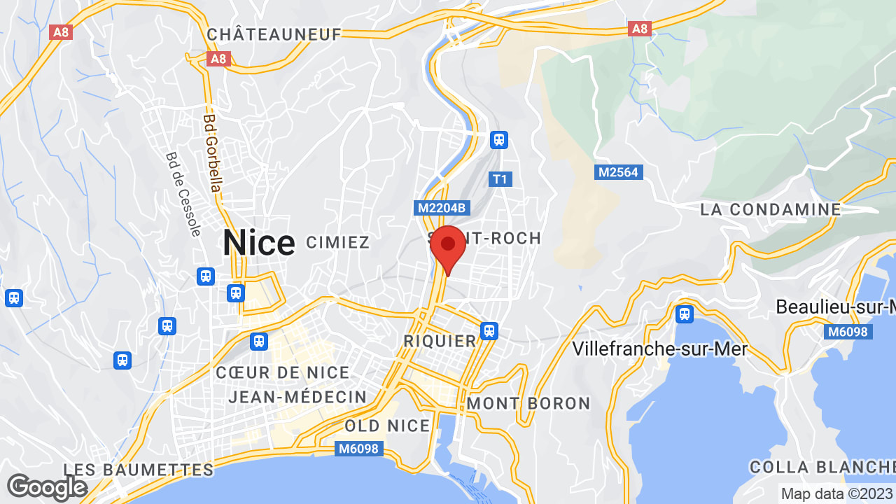 Google map