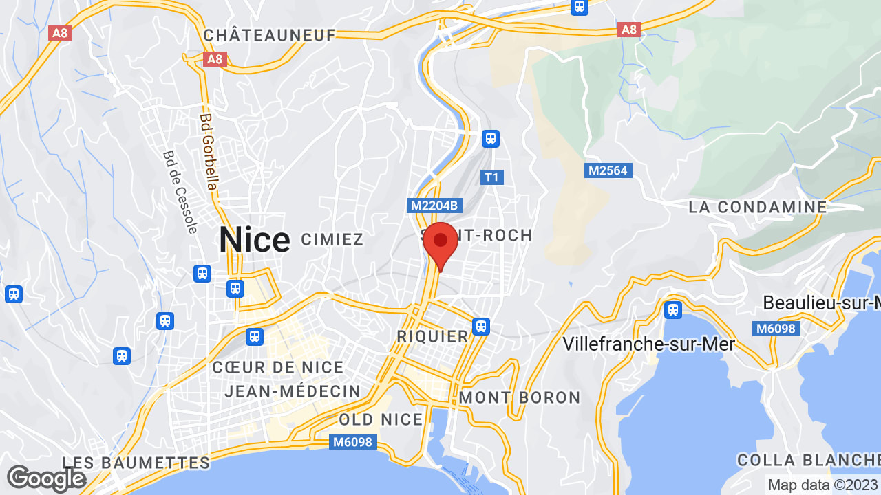 Google map