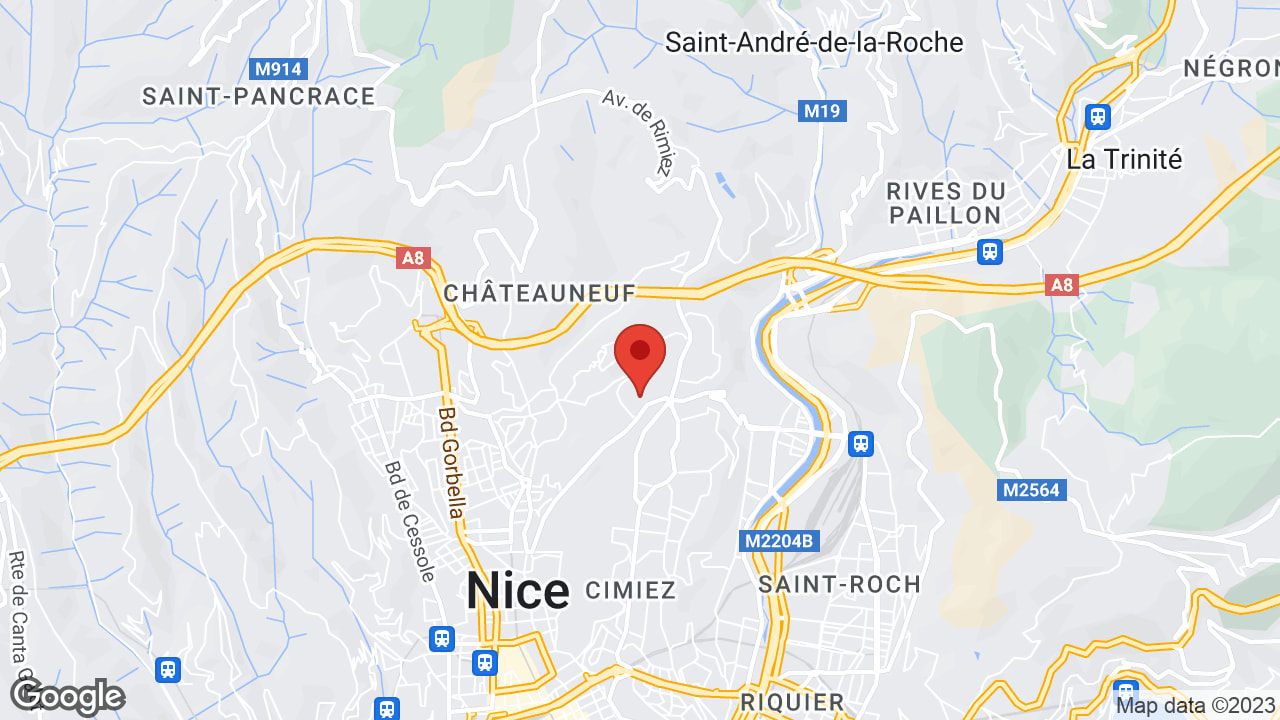 Google map