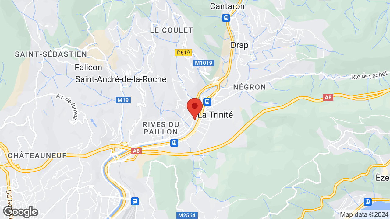Google map