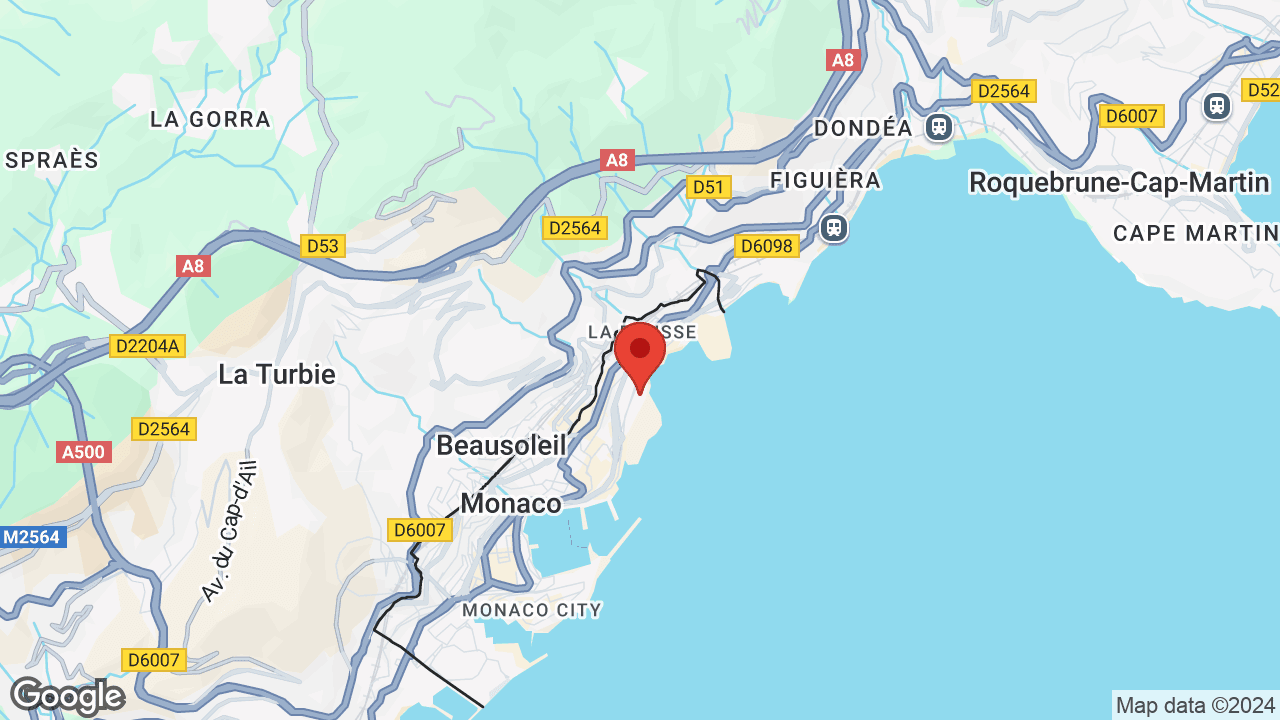 Google map