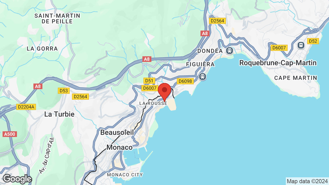 Google map