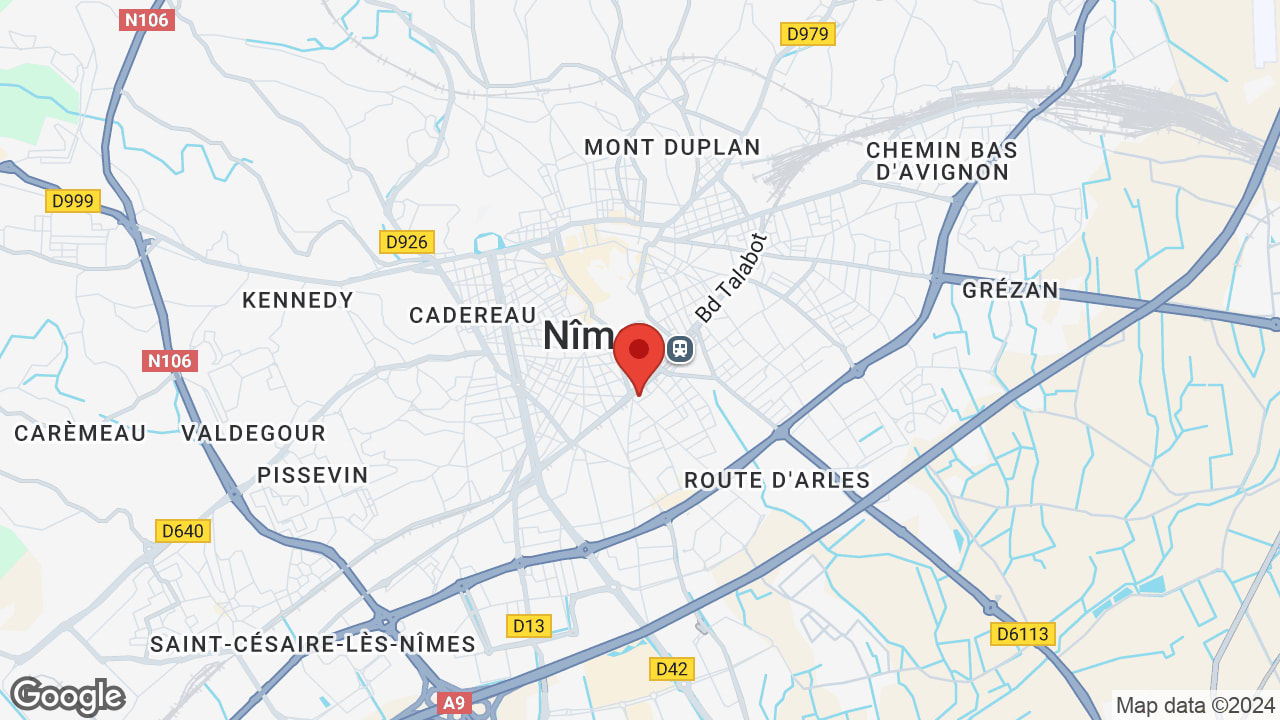 Google map