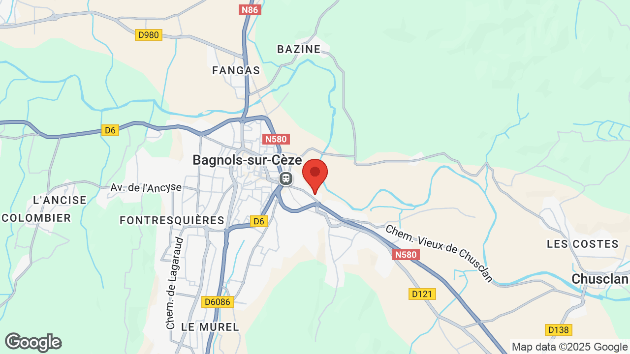 Google map