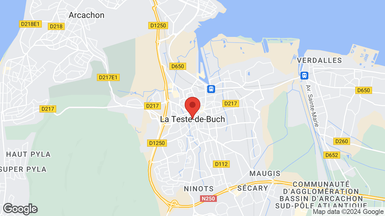 Google map