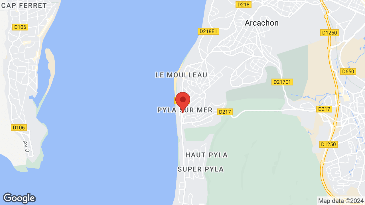 Google map