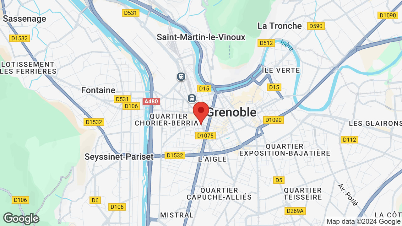 Google map
