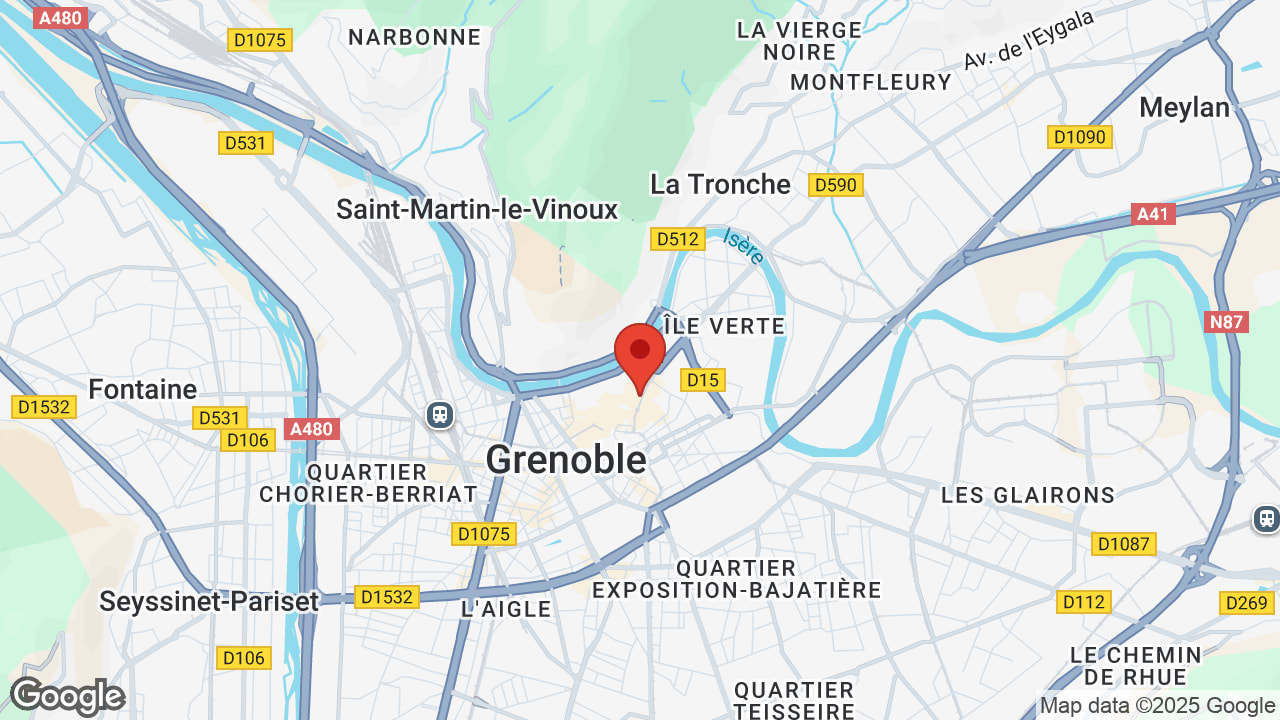 Google map