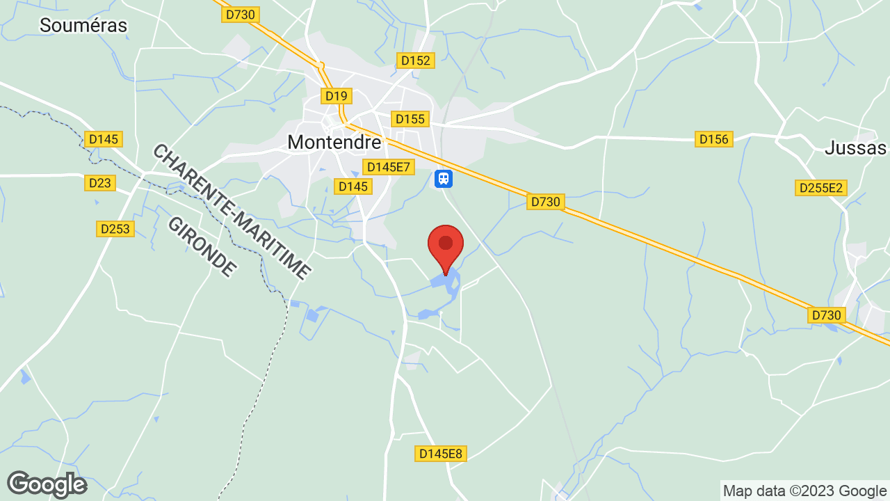 Google map