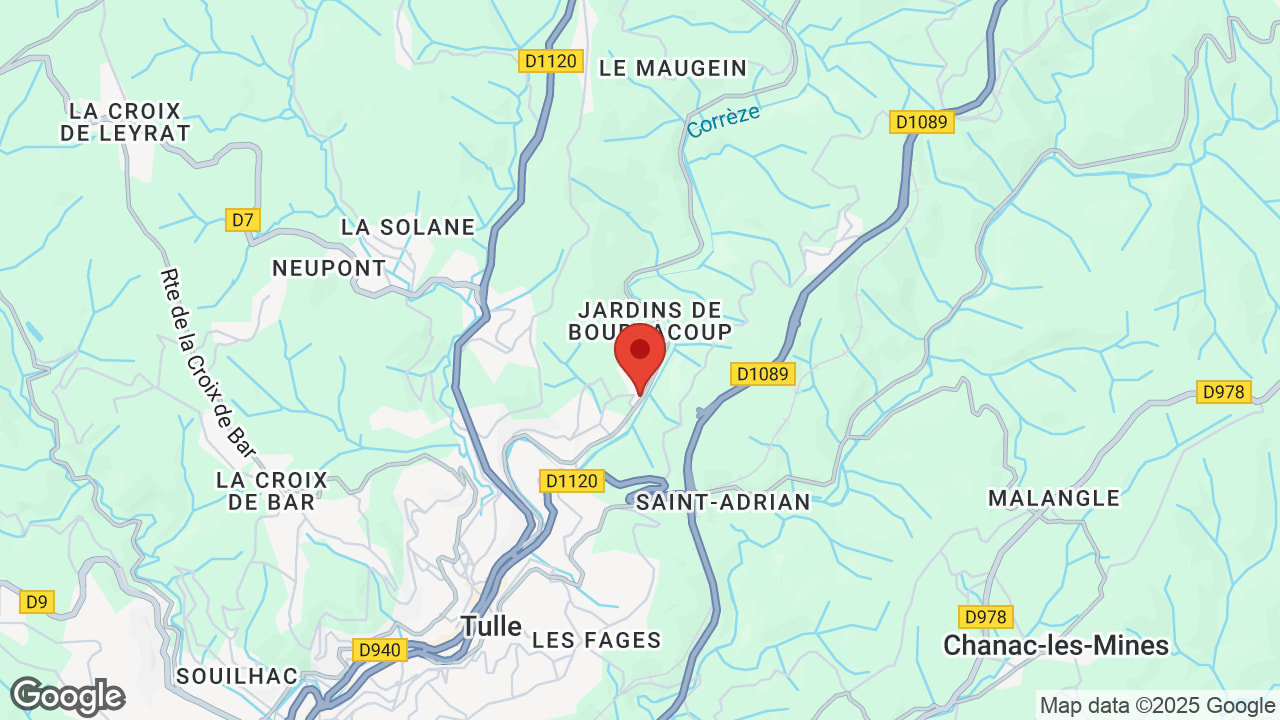 Google map