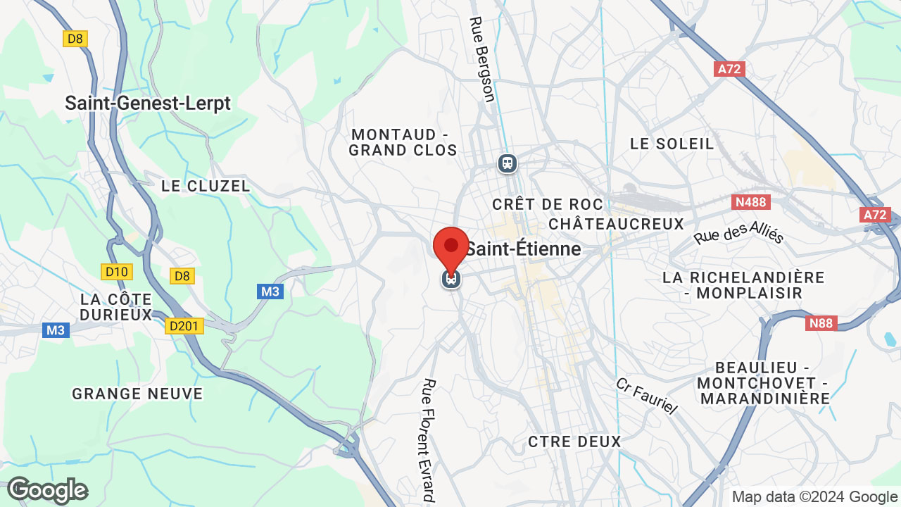 Google map