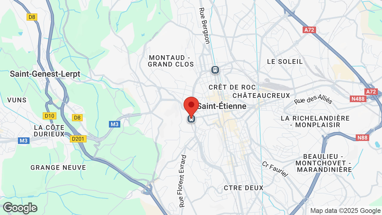 Google map