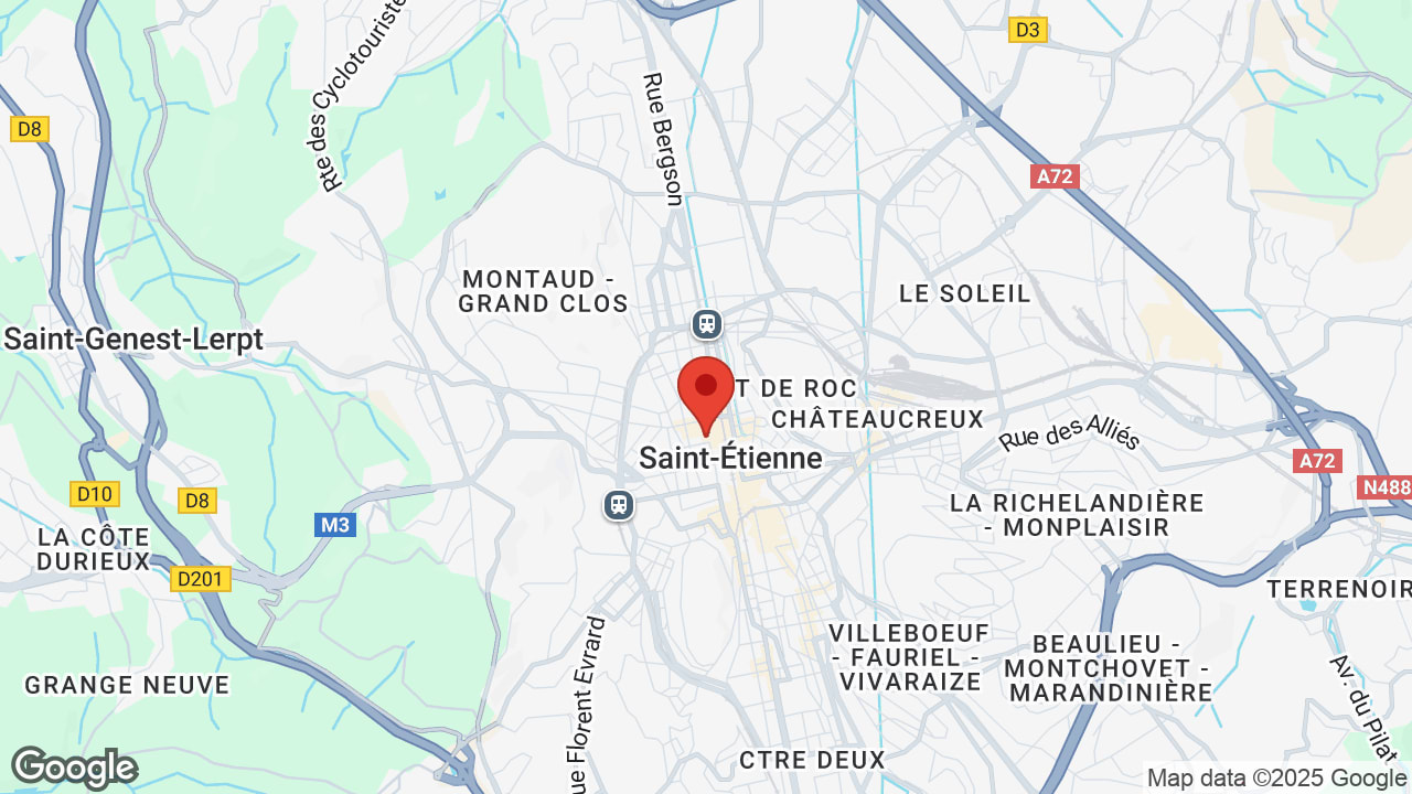 Google map