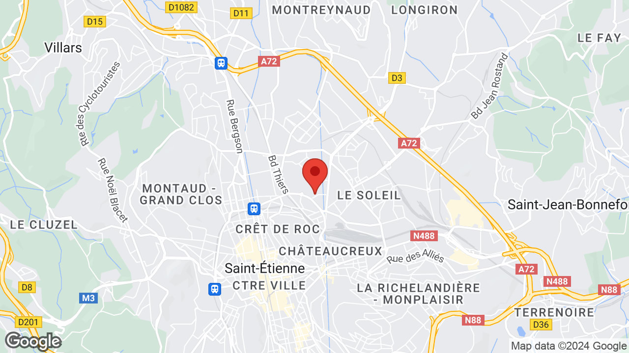 Google map