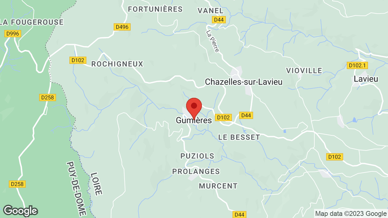 Google map