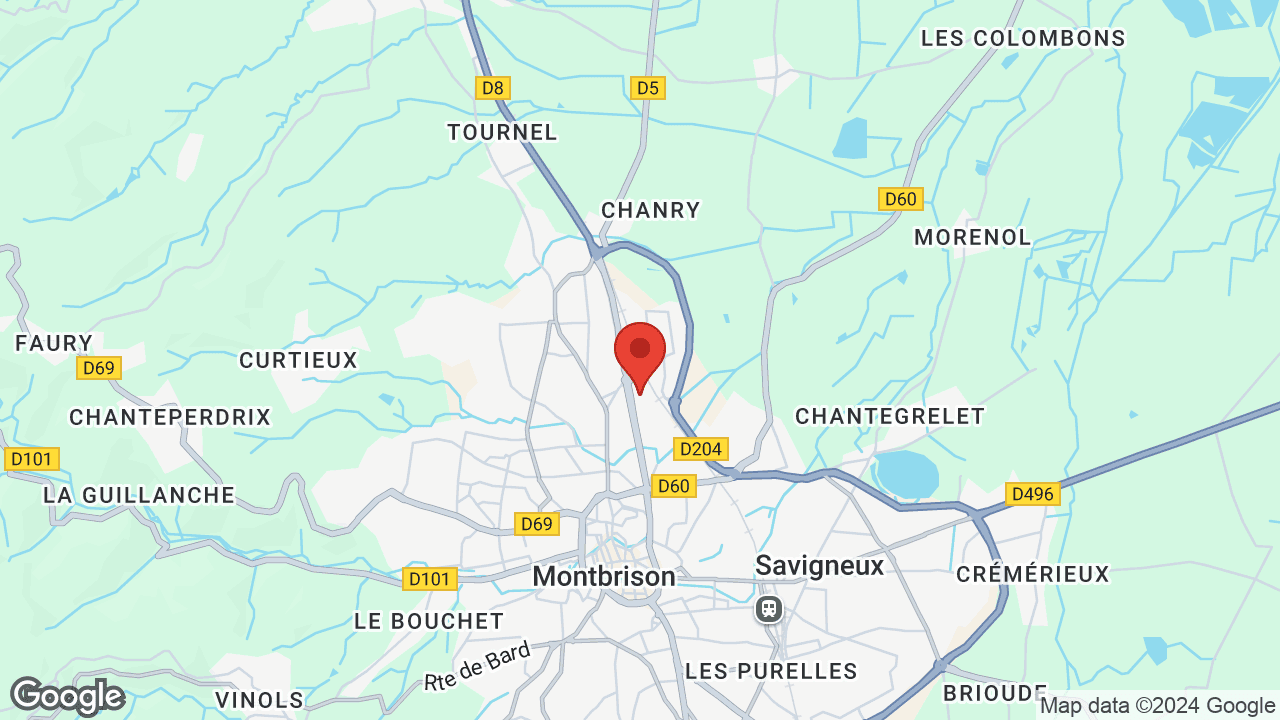 Google map