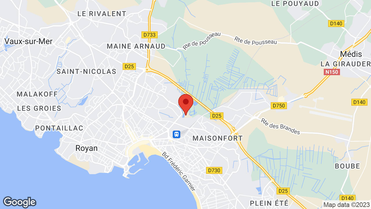 Google map