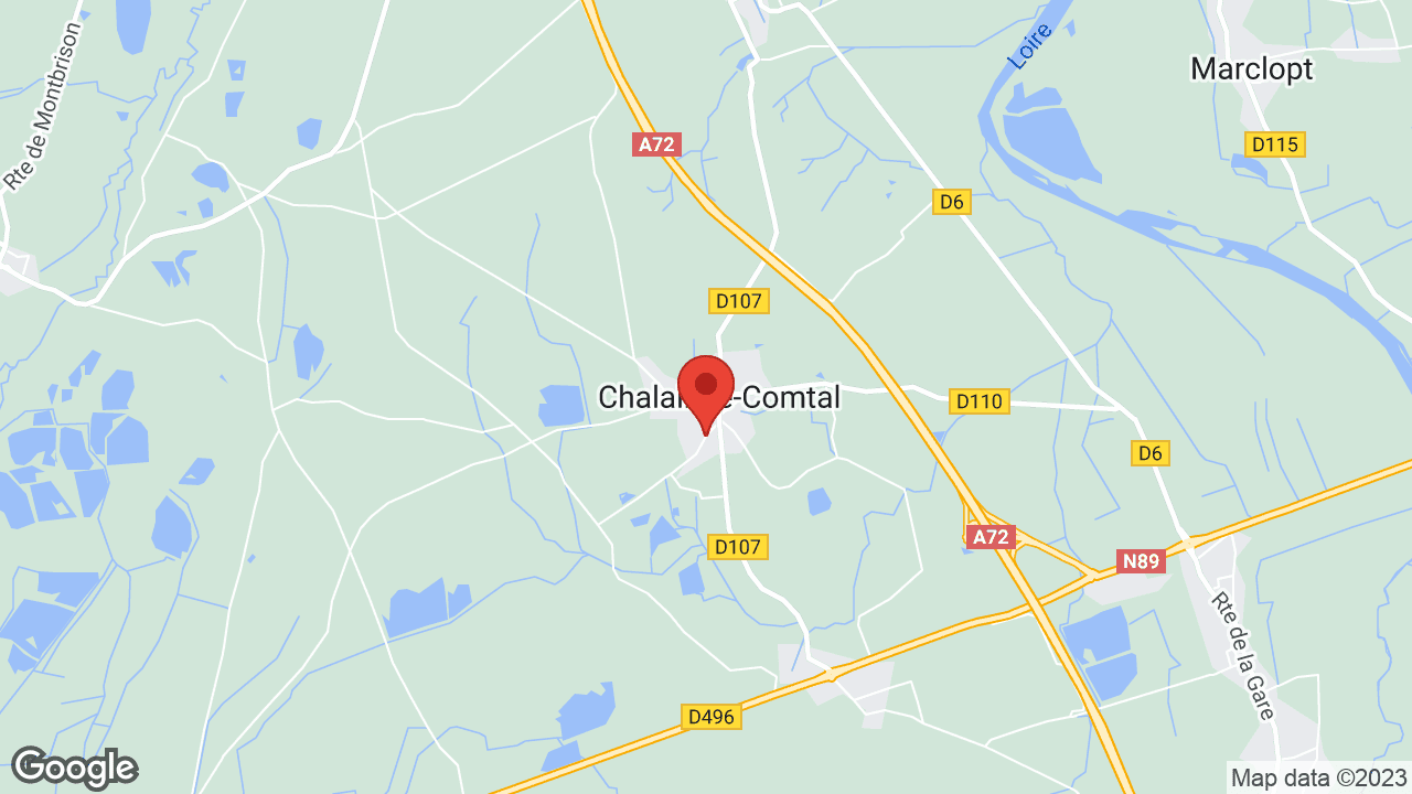 Google map