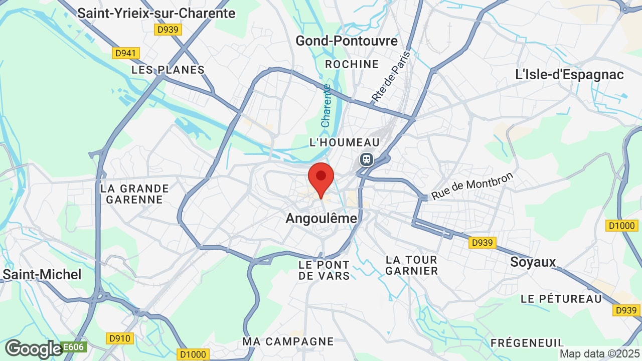 Google map