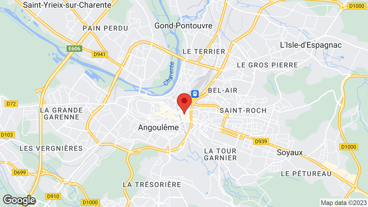 Google map