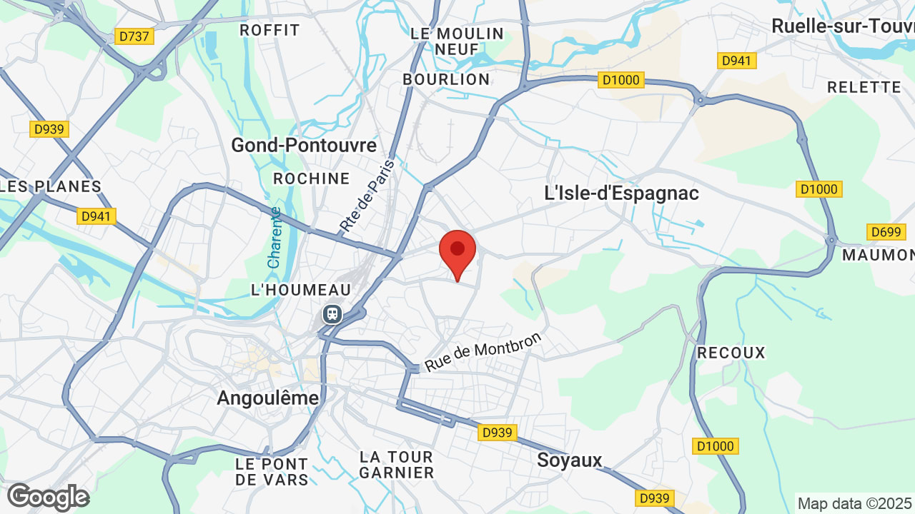 Google map