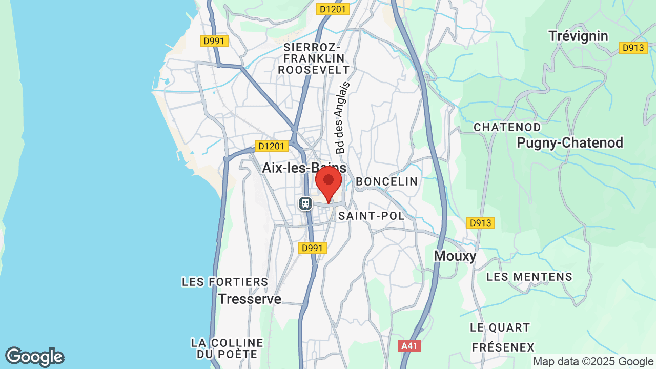 Google map