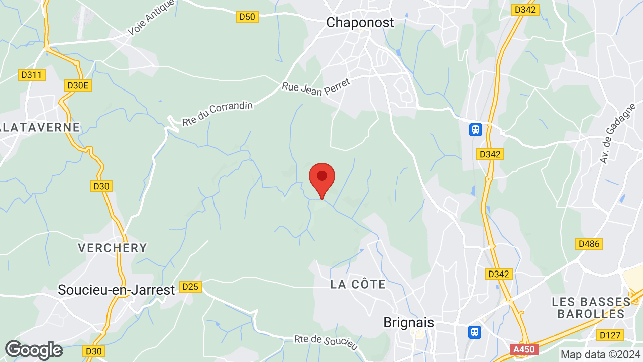 Google map