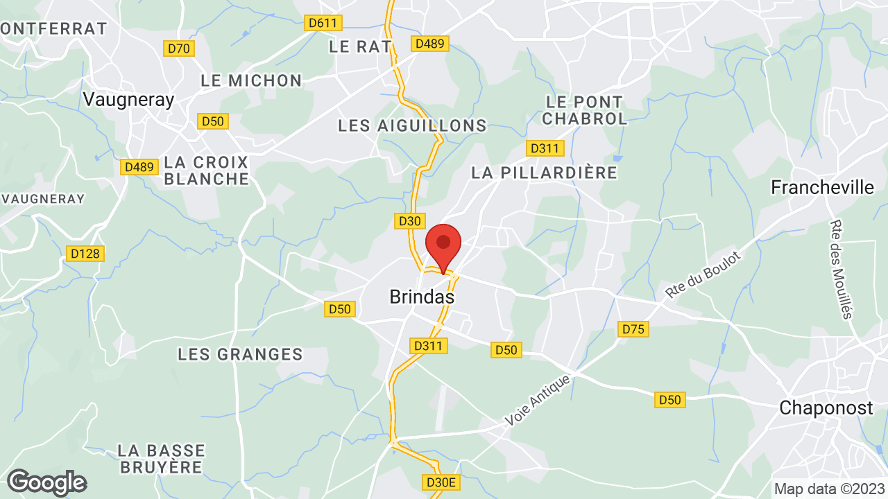 Google map