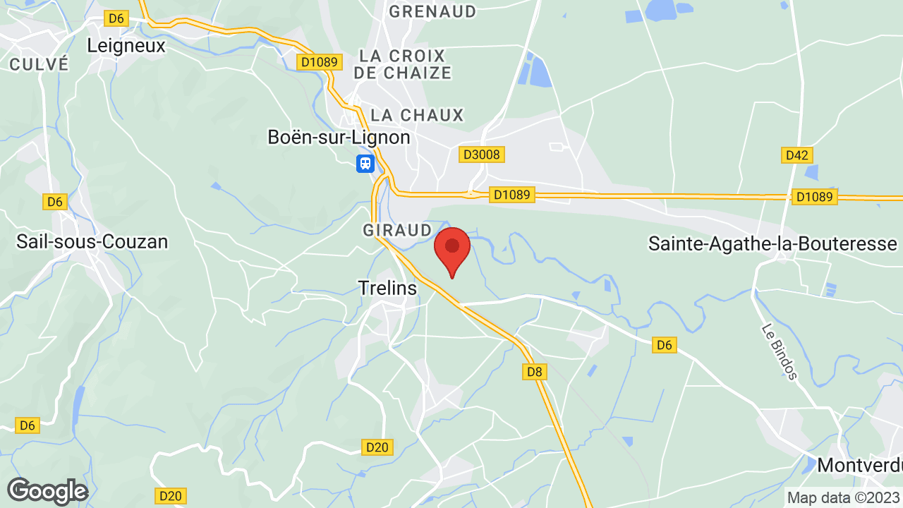 Google map