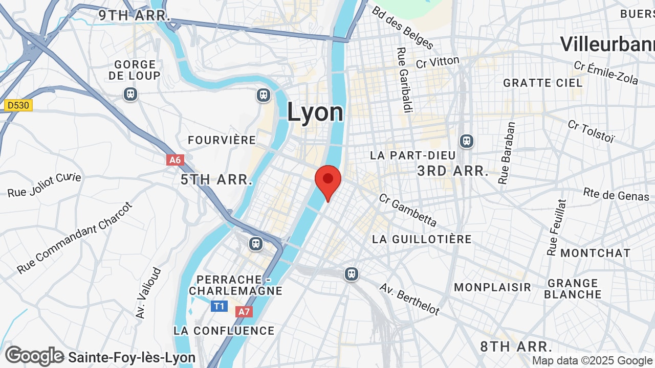 Google map