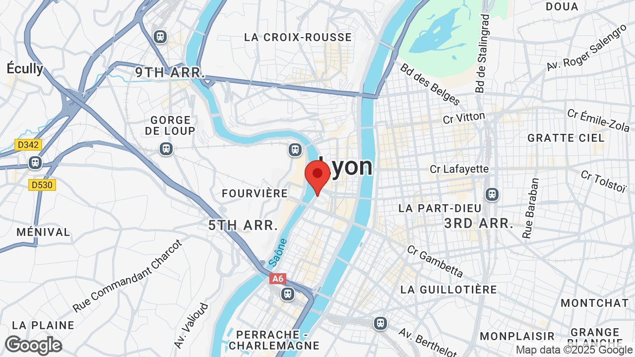 Google map