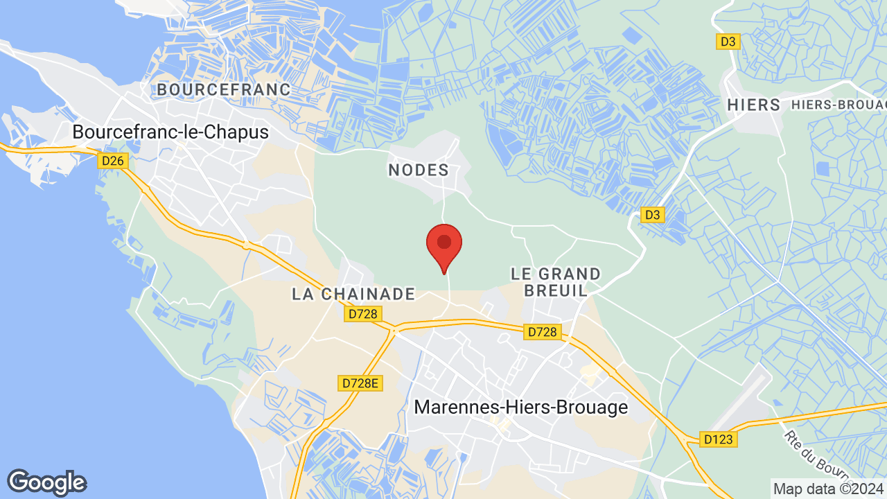 Google map